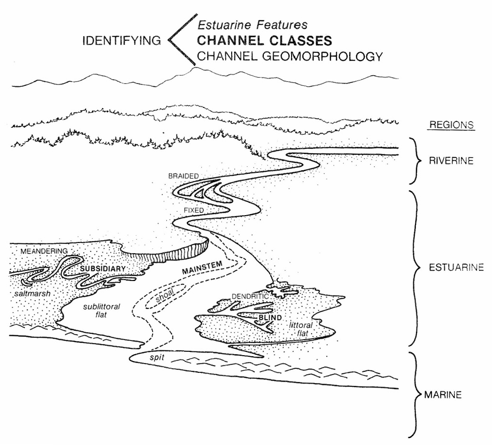 Estuarine Channel Classes