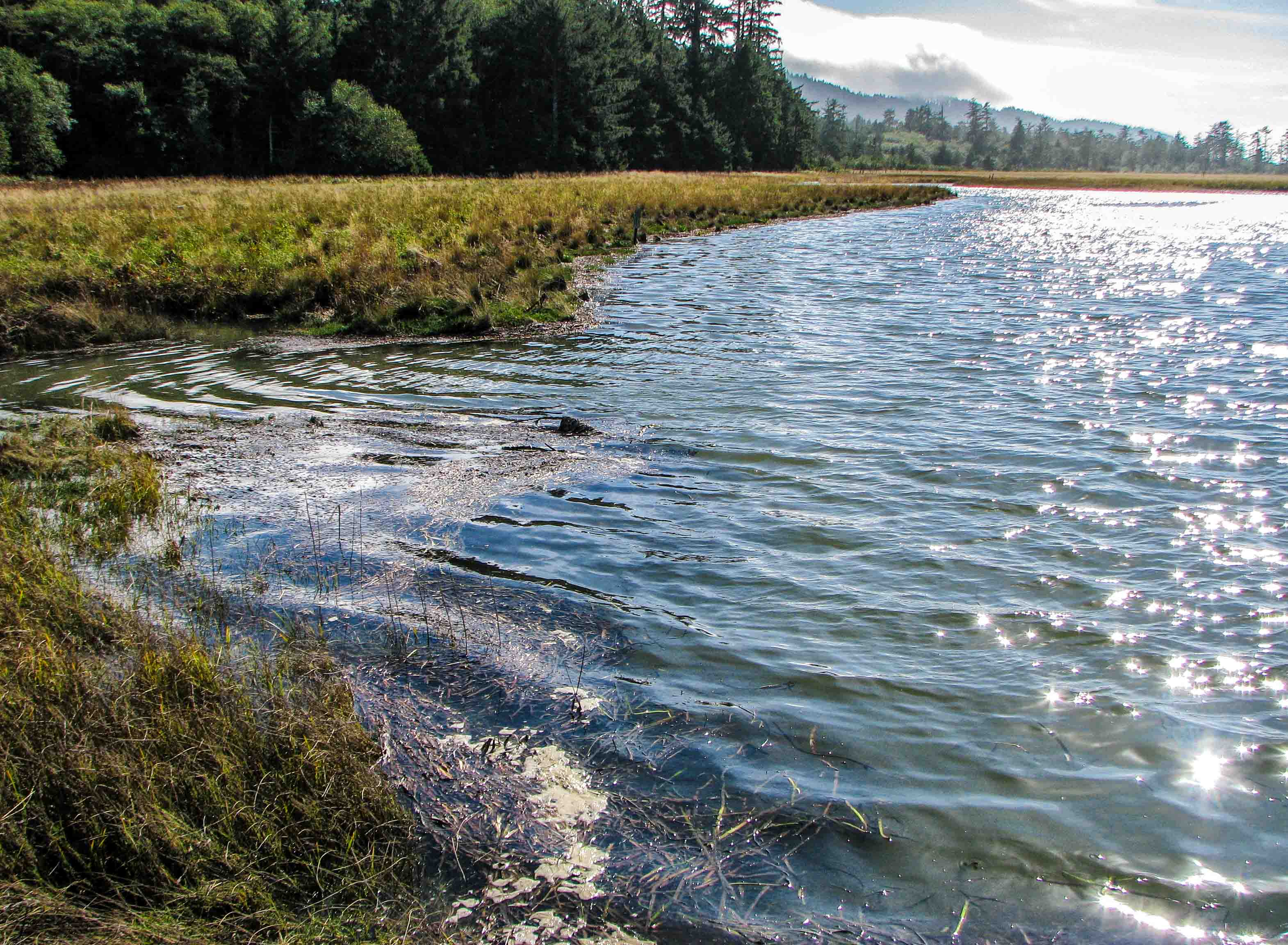 Estuarine Channels high tide