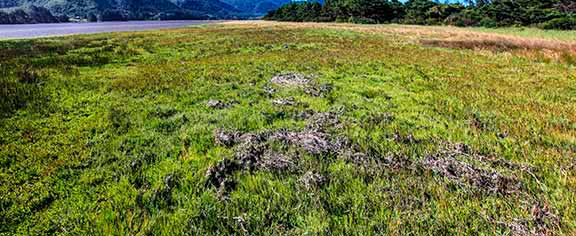 Salt-Marsh-2a_Panorama2