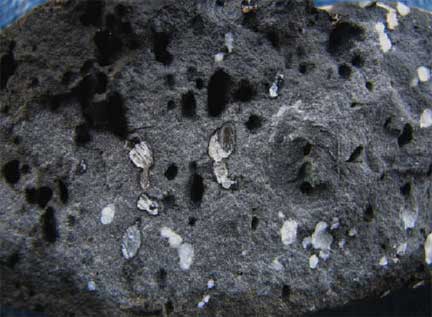 Vesicular-basalt-2